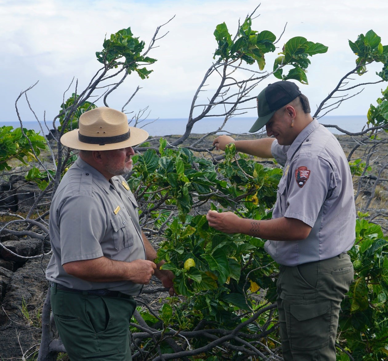 Two rangers talking outside near a tree.