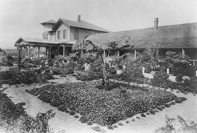Black and white photo of large hotel building with neat tropical gardens