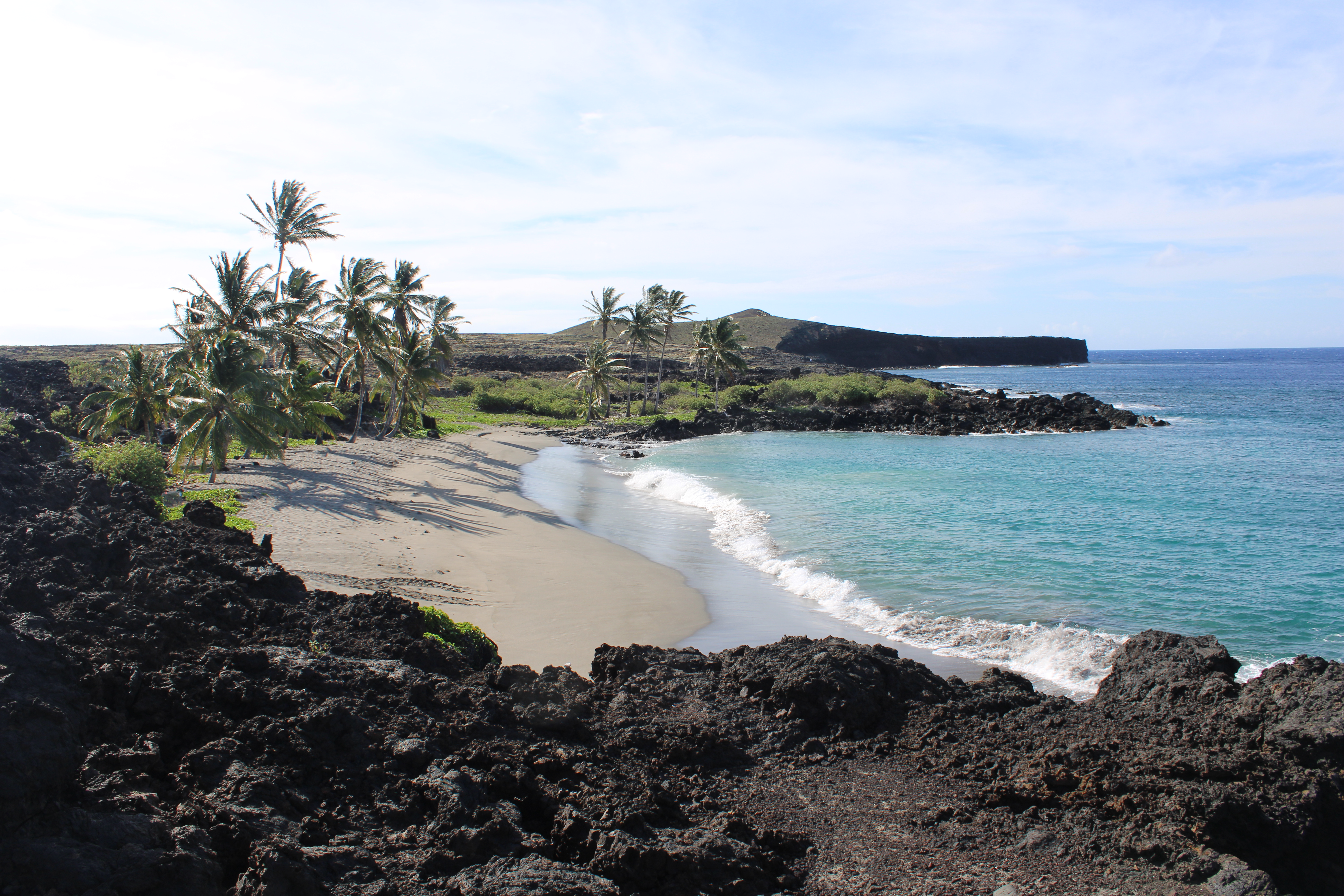 White sand beach with coconut palms.