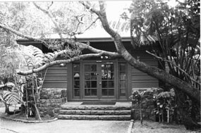 Ohia Wing