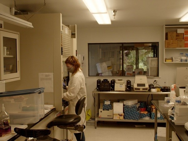 Scientist studying mortar fragments in a laboratory.