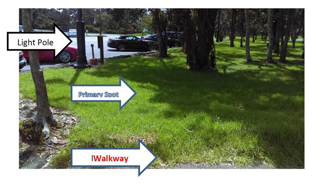 A grassy area with headings, "Light Pole, Primary Spot, Walkway"
