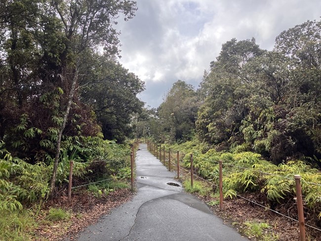 Single lane paved trail with cable on each side.