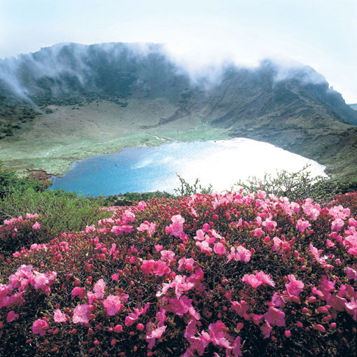 Jeju Volcanic Island and Lava Tubes - Hawaiʻi Volcanoes National