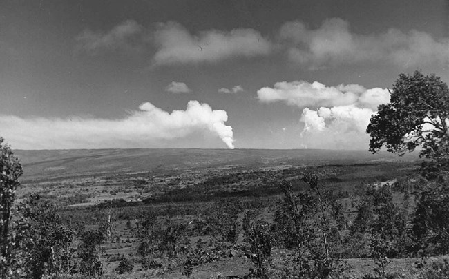 Large volcanic gas plume on the northeast flank of Mauna Loa.