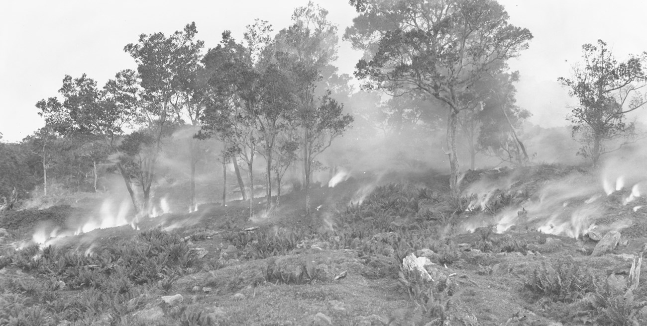 Black and white photo of a molten lava flow steaming and moving through a sparse forest