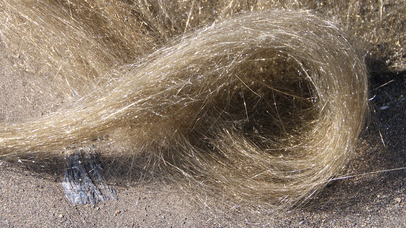 A curl of pele's hair