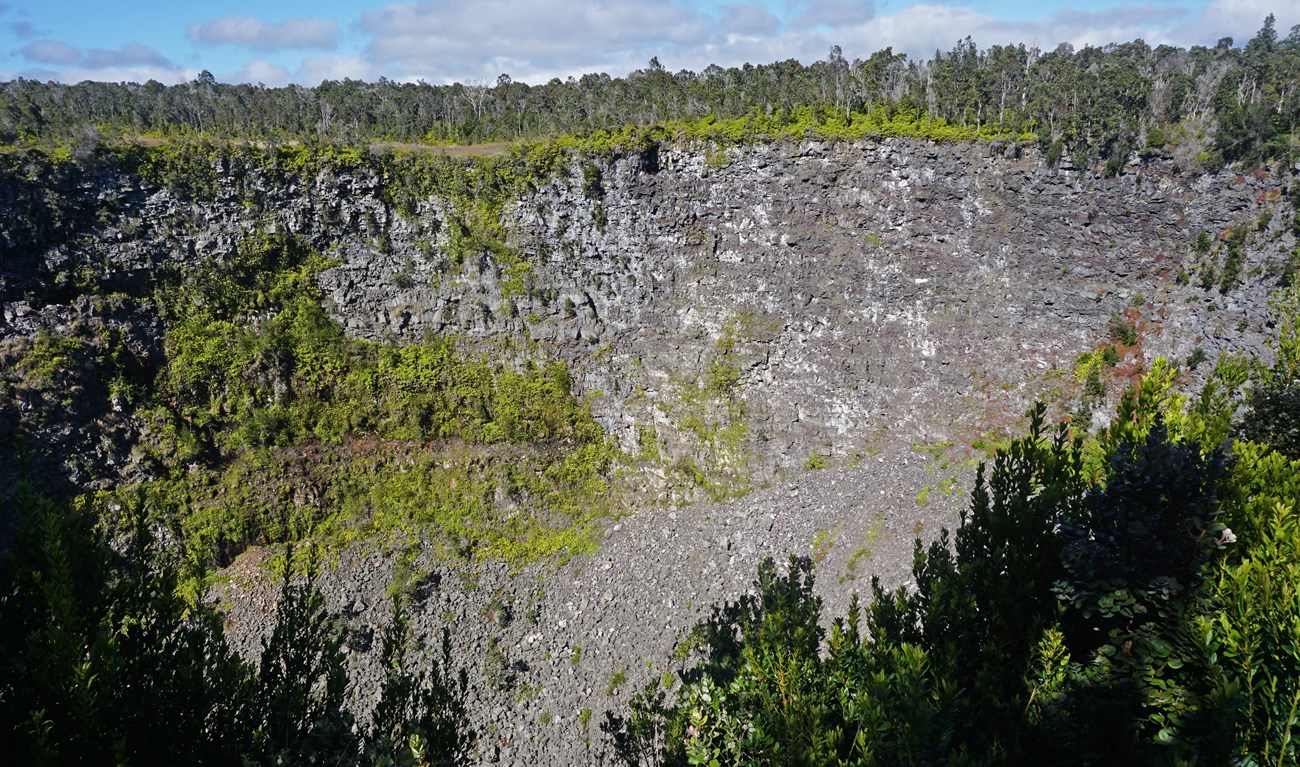 Edge of a forested pit crater