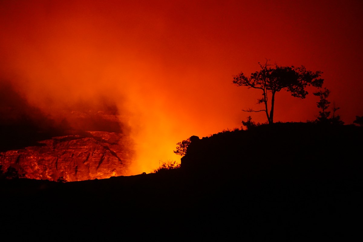 Silhouette of a tree in front of an orange glowing volcanic crater sending out a plume