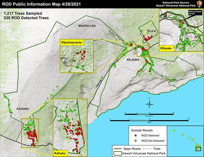Map of rapid ʻōhiʻa death affecting trees in the national park.