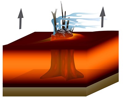 Graphic showing the formation of lava trees