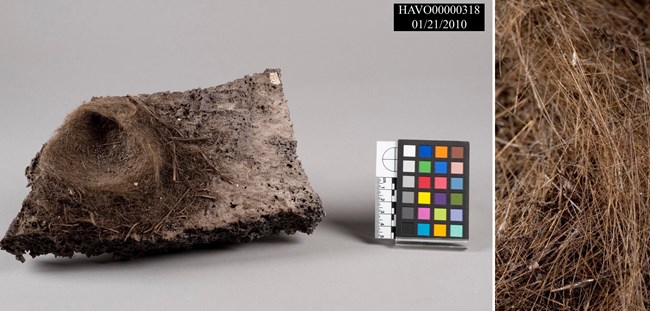 Photo of a birds nest made of volcanic fibers attached to a piece of soil, placed on a solid white background with a color scale next to it, and a zoomed in photo of the fibers to the right