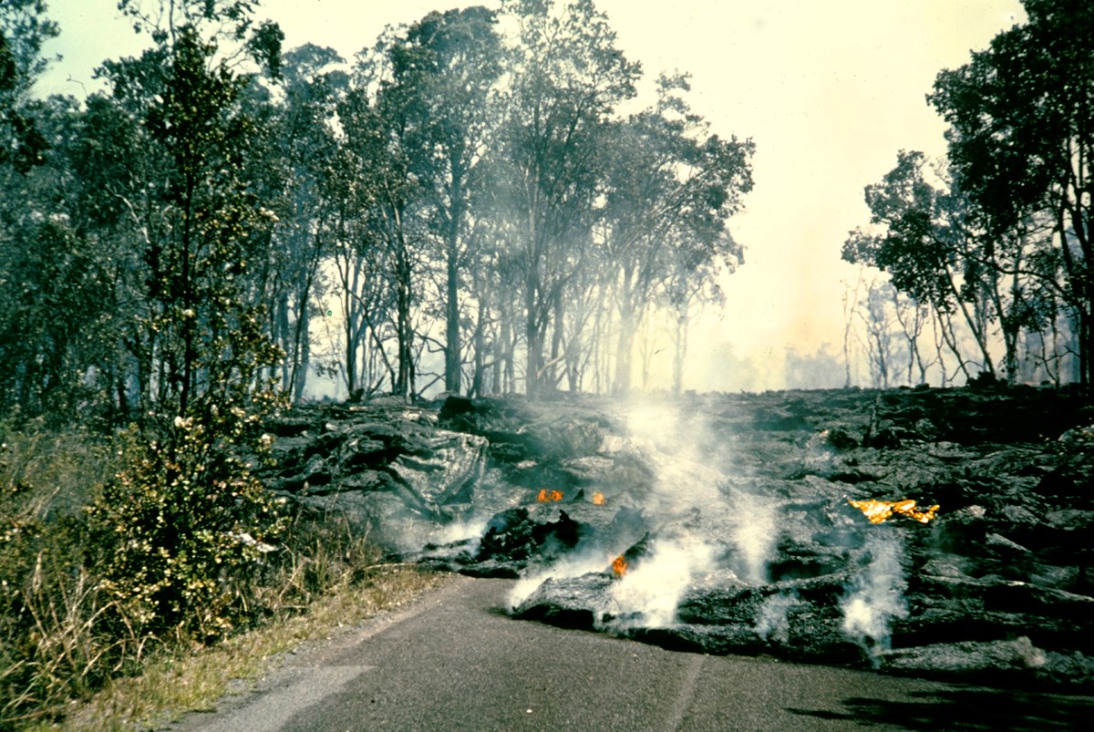 Lava flow crossing a road surrounded by rainforest