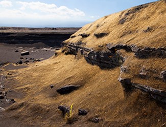 Pele's hair gathered against a rock