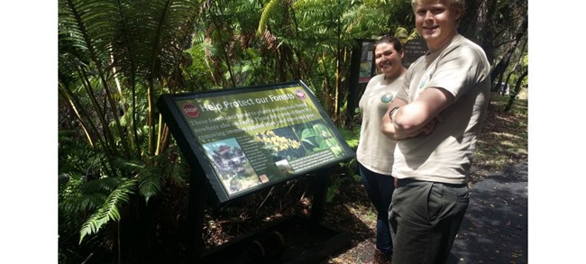 Park volunteers at a sanitation station developed to help visitors clean shoes and gear before entering the forest. Look for these at trailheads throughout the park