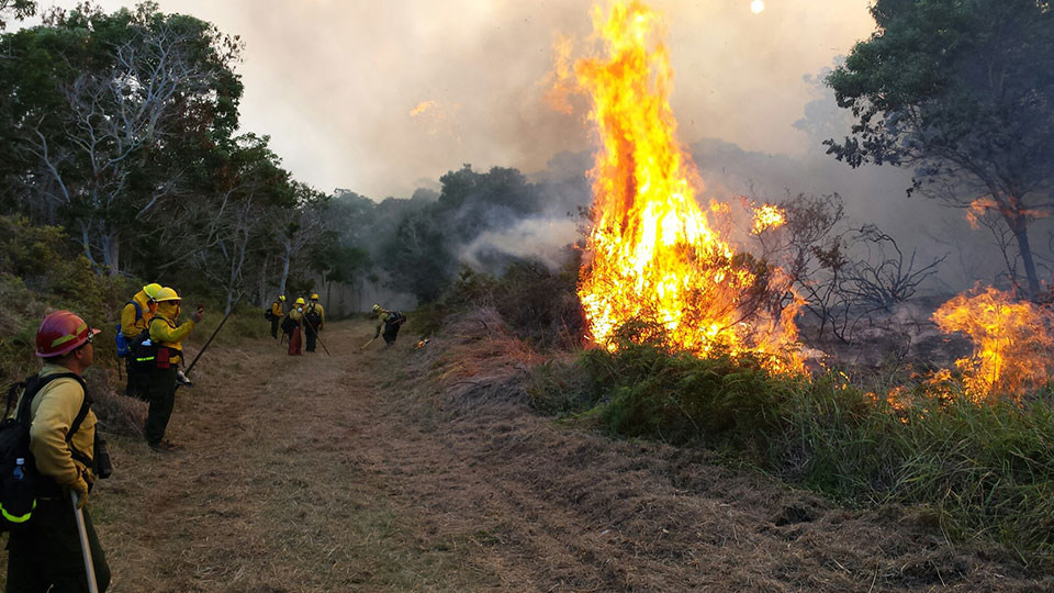 Firefighters on scene in Hawaii Volcanoes National Park, evening of 8/6/2018