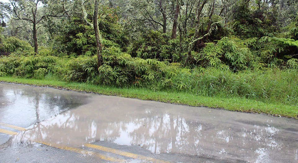 Puddles of ashy rain water Puddles of ashy rain water