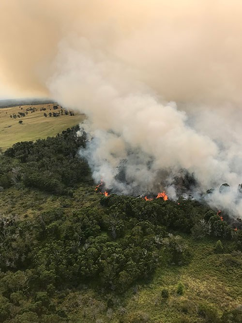 Flames in the park approaching Kapapala Ranch on Tuesday, August 7 Flames in the park approaching Kapapala Ranch on Tuesday, August 7