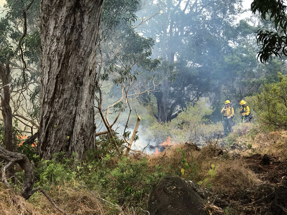 NPS Firefighters call in for an aerial water drop