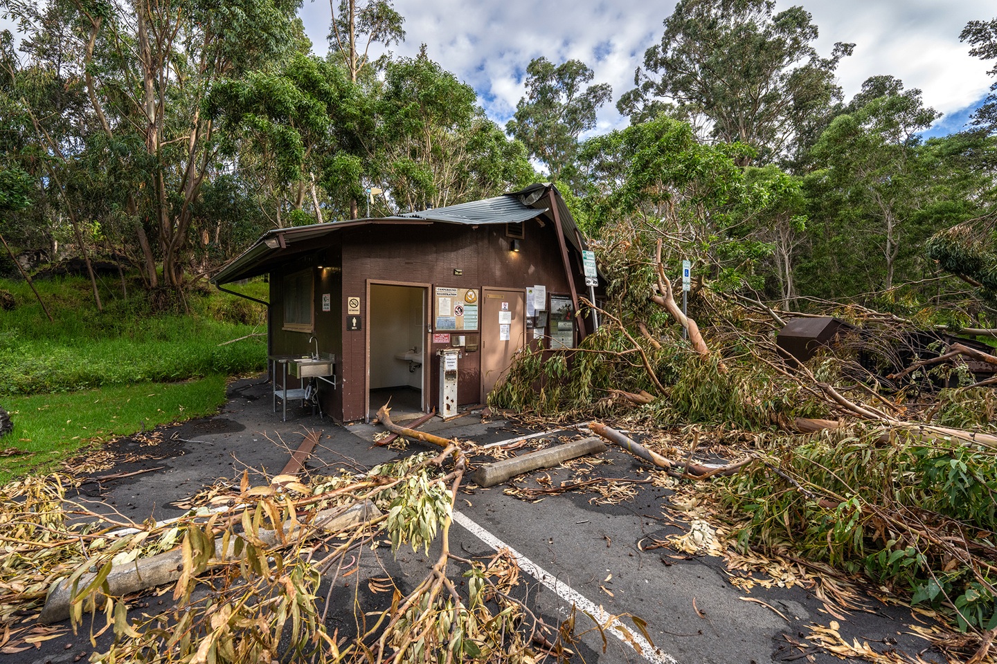 Restroom facility at campground is crushed by tree