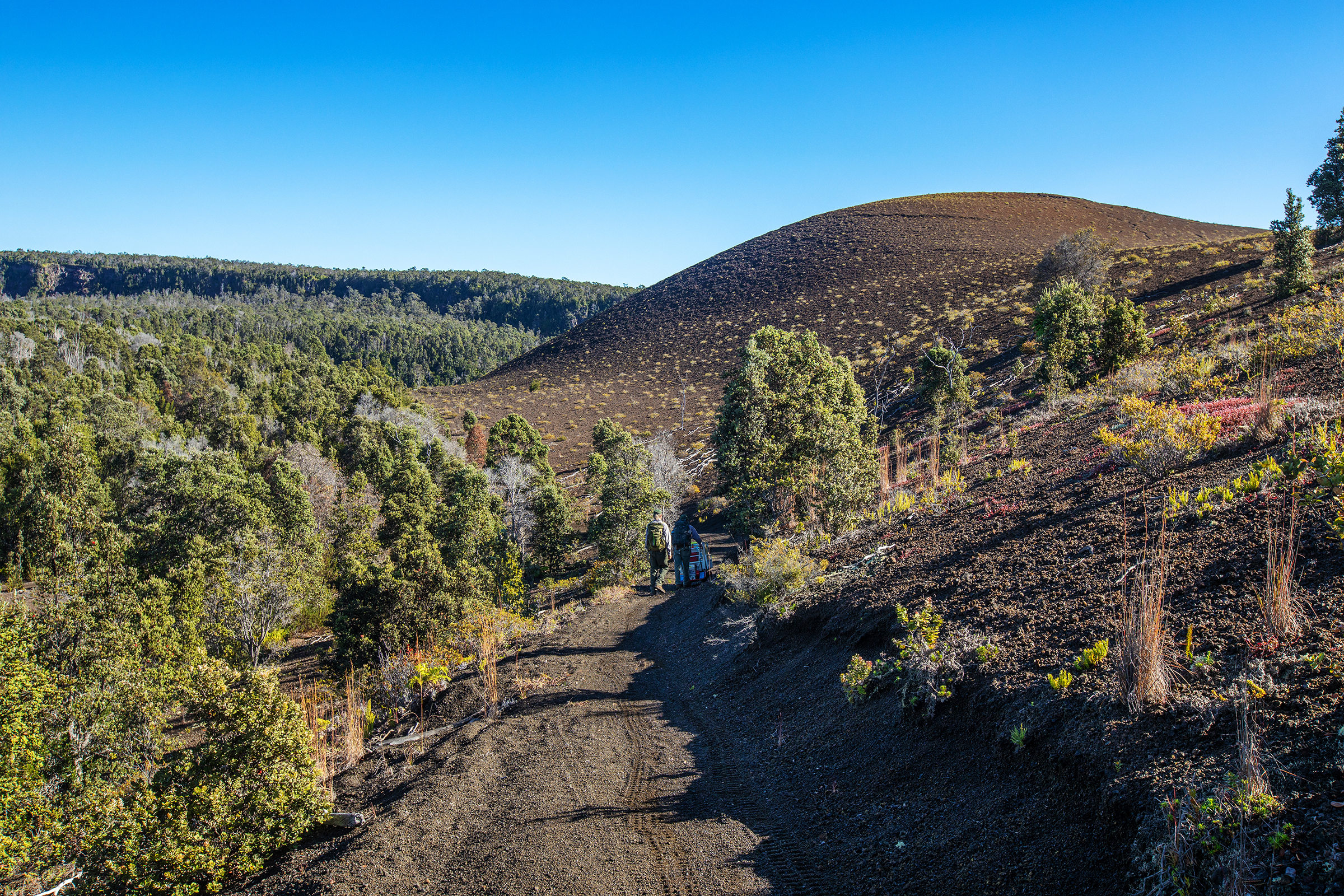 Trail Crew on Byron Ledge Two people in the distance on a trail in a volcanic landscape