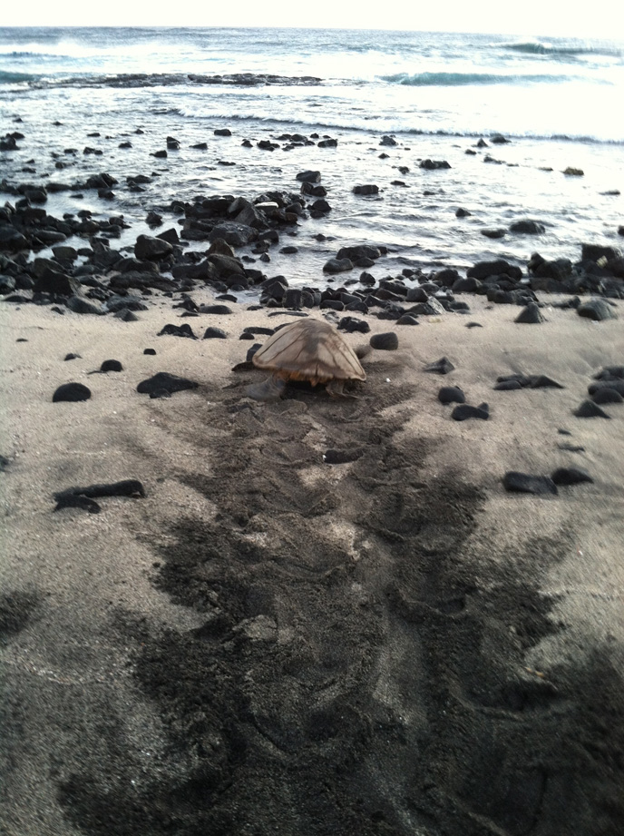 92 heading back to sea 7