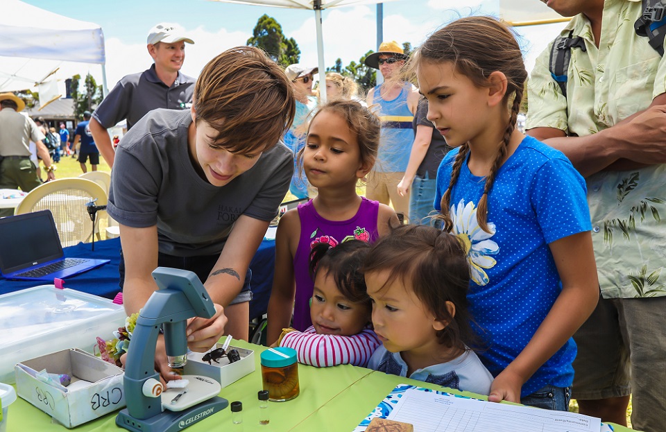 Kids looks at insects with microscope