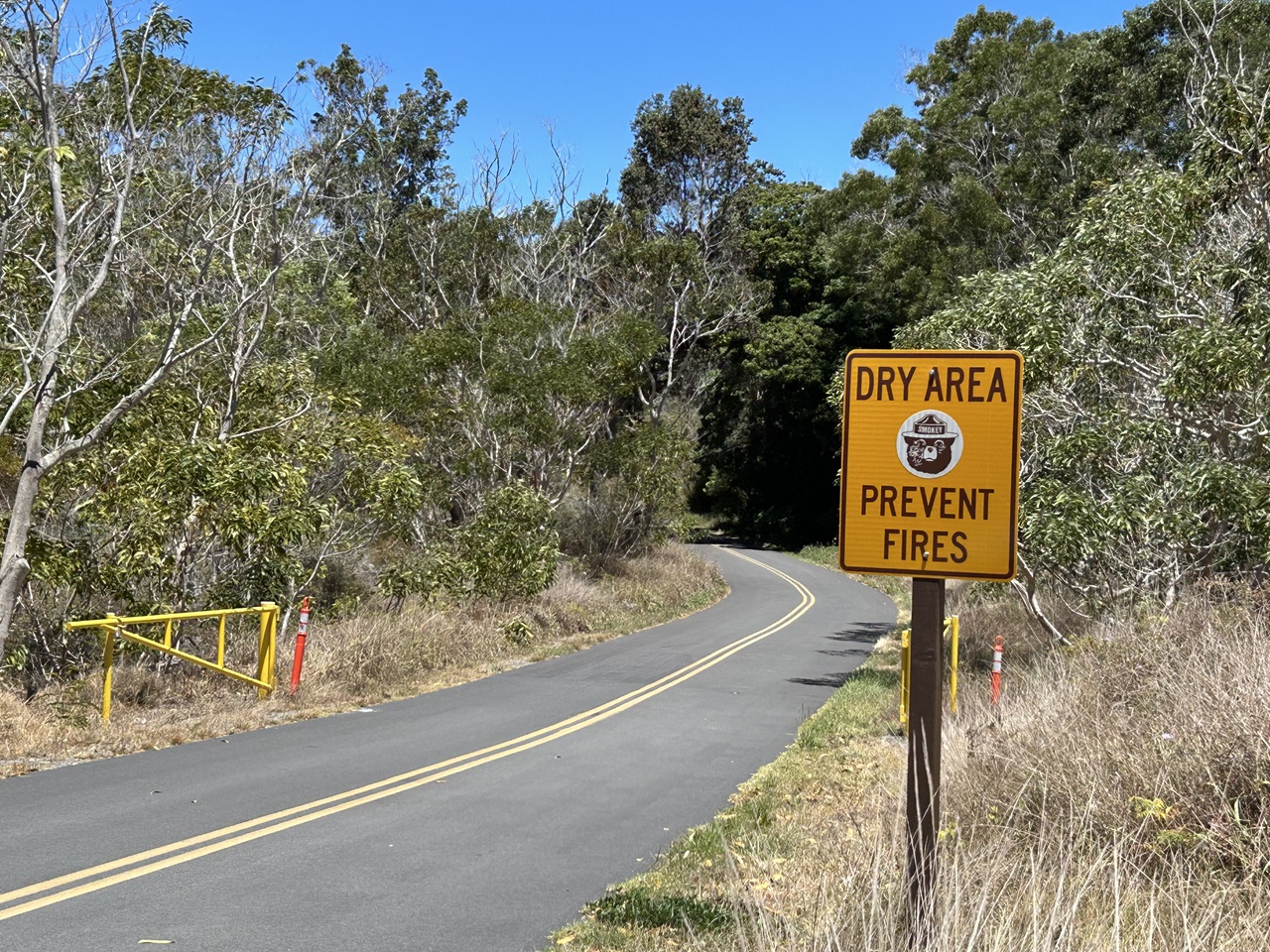 960-HAVO_20250729_2-Smoky-bear-sign-Mauna-Loa-Road_J.Ferracane A narrow two lane road in a dry forest. A sign with Smoky Bear reads Dry Area Prevent Fires