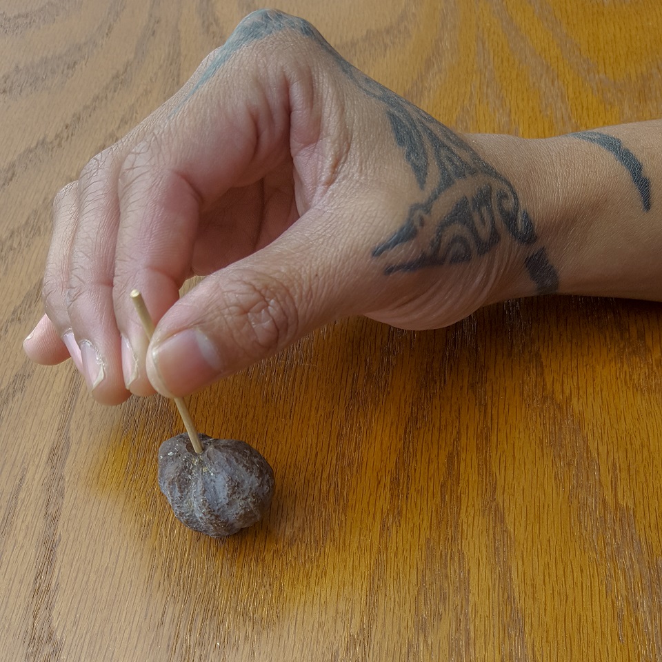 Hū, the kukui nut top closeup of a tattooed hand playing with kukui nut toy