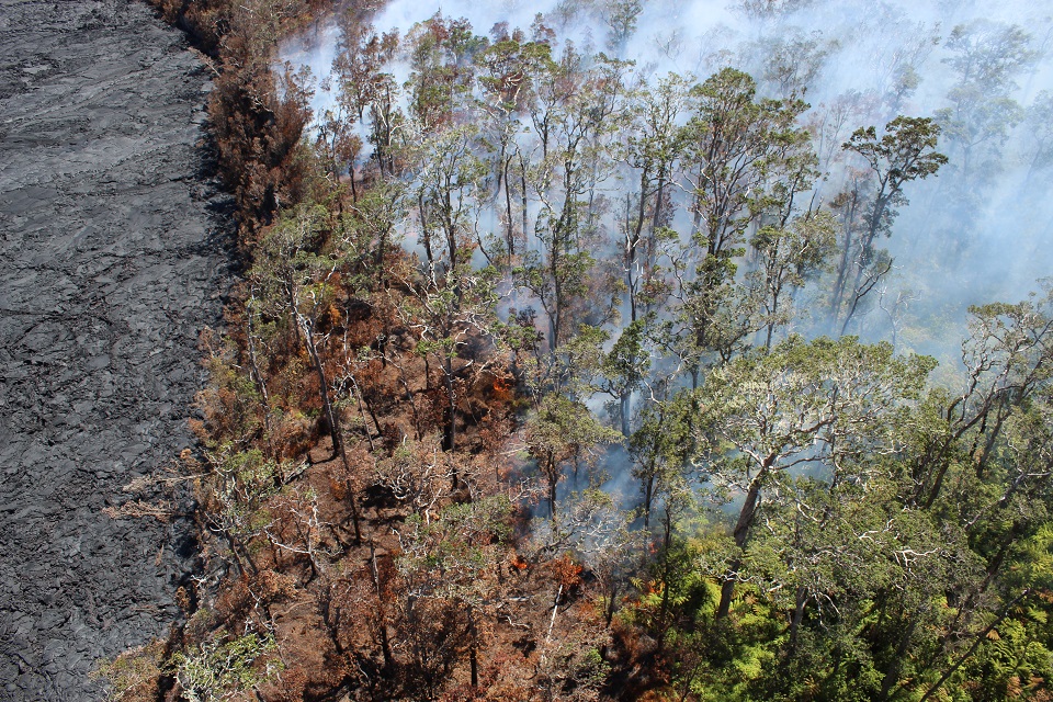 Aerial view of a smoking wildfire and some flame burning a forest below