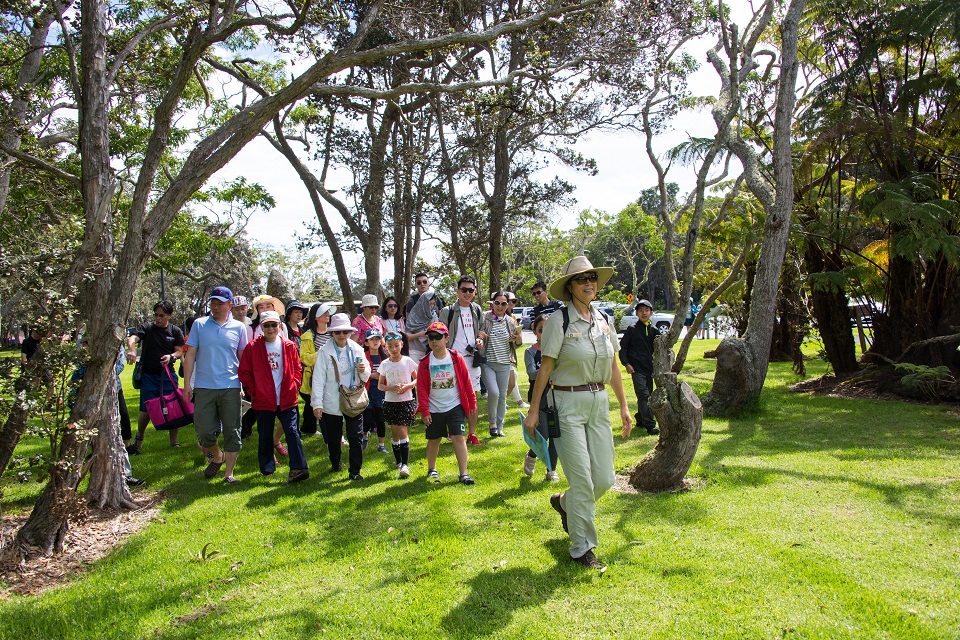 Volunteer leads a Chinese group on a hike through forest Volunteer leads a group of Chinese hikers