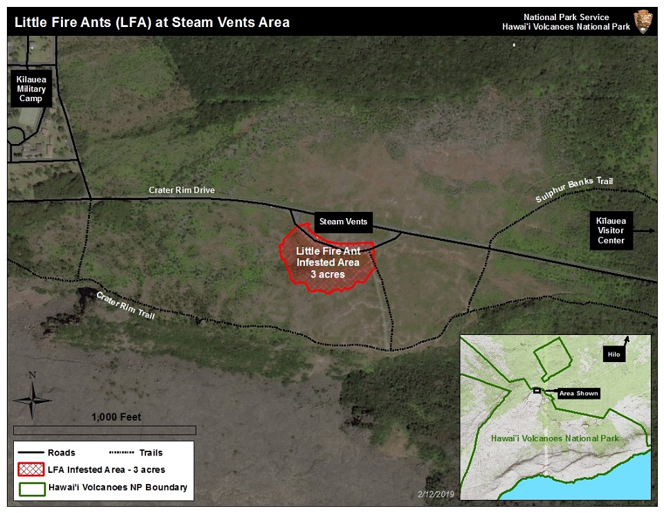 Little Fire Ants at Steam Vents Map A map of Steam Vents showing Little Fire Ant infestation