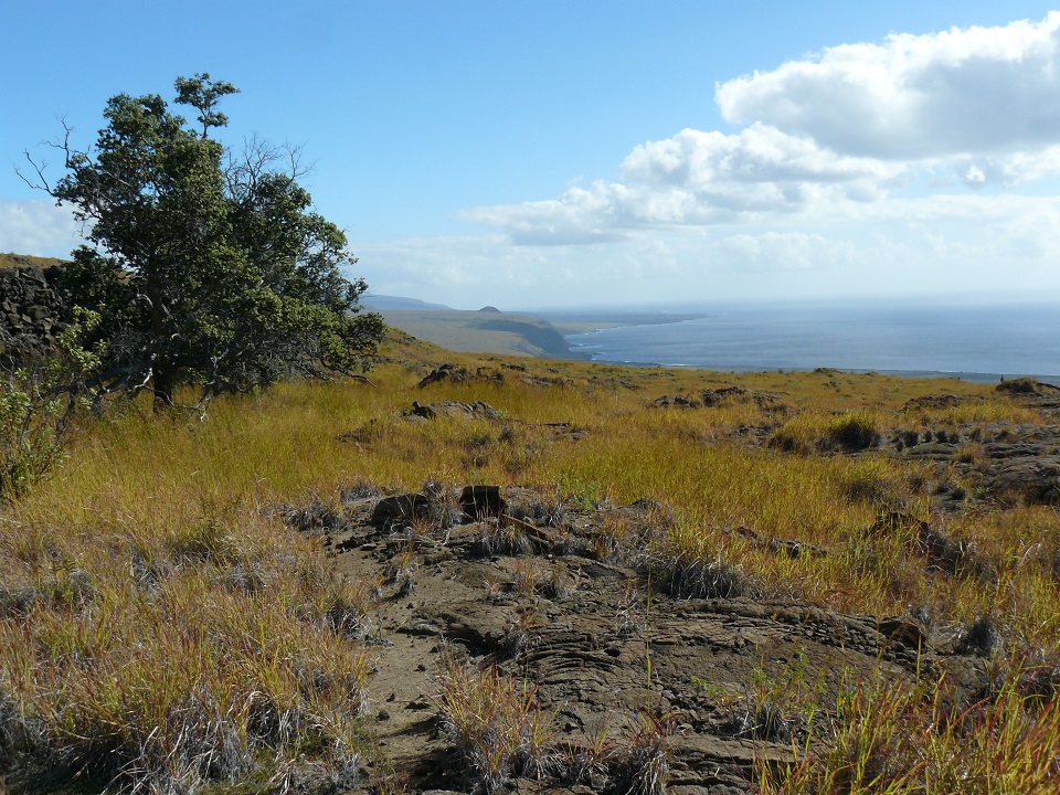 Coastal views seen from Ka‘ū Desert Trail View of ocean, coastal cliffs and dry desert terrain from a trail in Hawaii Volcanoes National Park.