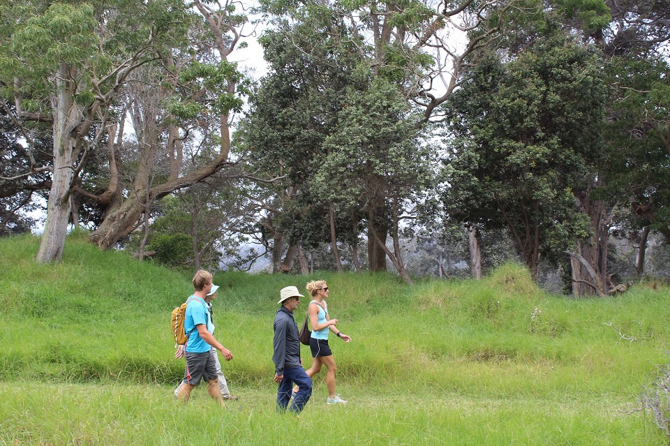 Family hiking Pali o Ka‘eo Trail in Kahuku Family hiking trail through forest and tall grass in nice weather