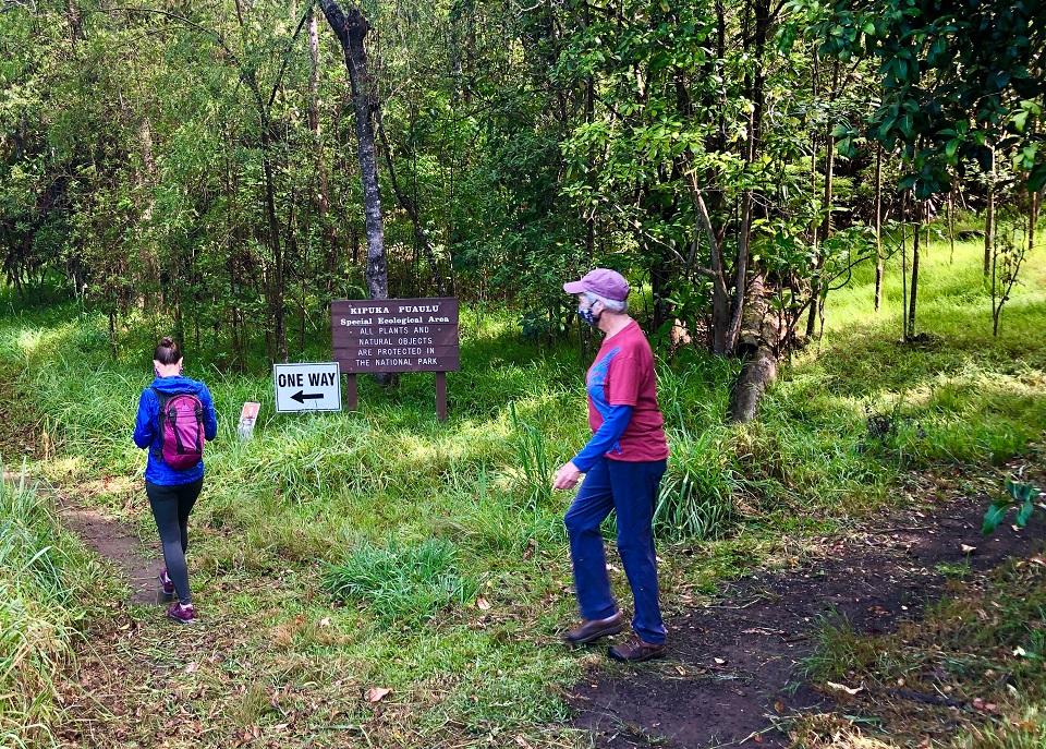 Two hikers six feet apart on Kīpukapuaulu Trail Hikers six feet apart on a trail in the woods