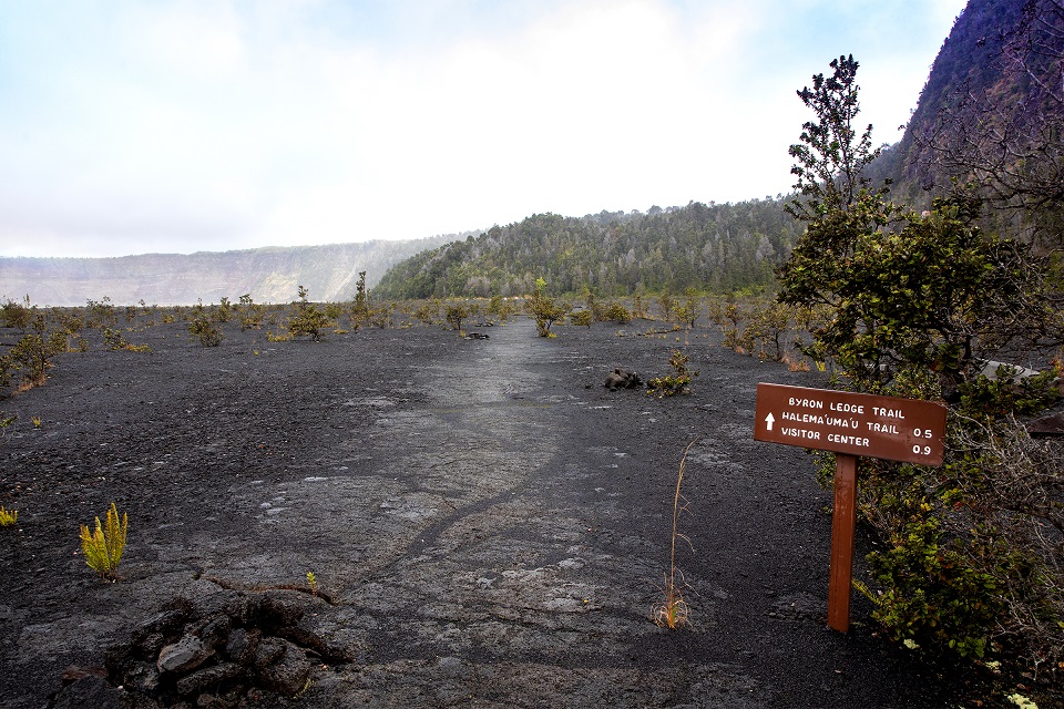 A brown trail sign next to a lava rock trail on a crater floor with trees