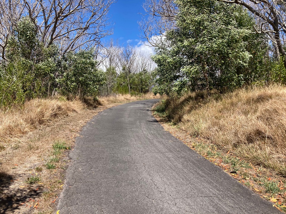 Mauna Loa Road and very dry grass on either side Dry grass and vegetation alongside a one-lane road under blue sky