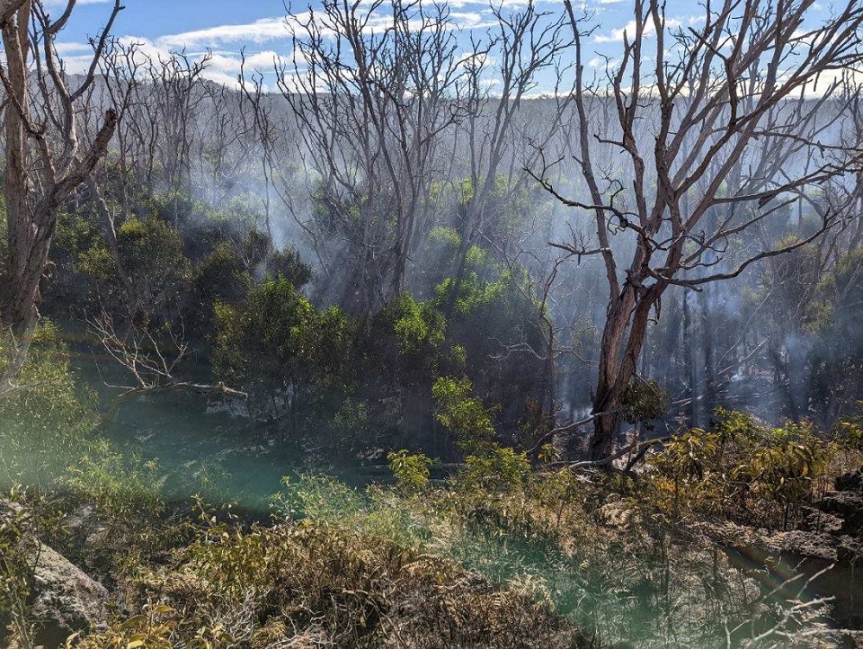 Mauna Loa wildfire Thick gray smoke is seen through a burnt section of forest and grassy shrubland