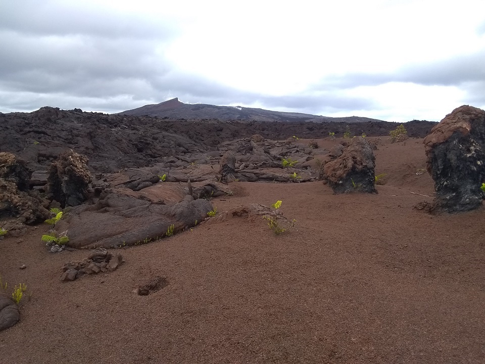 Nāpau Crater with Pu‘u ‘Ō‘ō in baclkground Volcanic landscape with ferns and cindercone