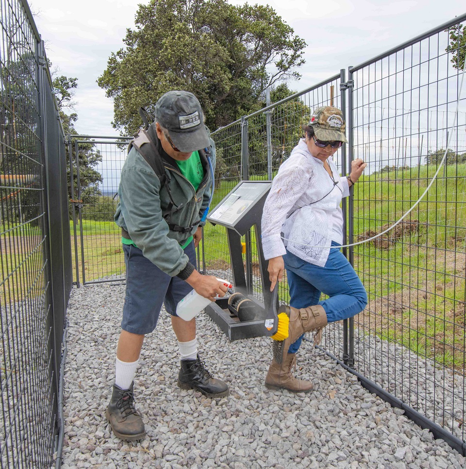 Please decontaminate your boots before hiking in the park to protect the forest! Two hikers clean their boots at the new Rapid ʻŌhiʻa Death decontamination station in Kahuku