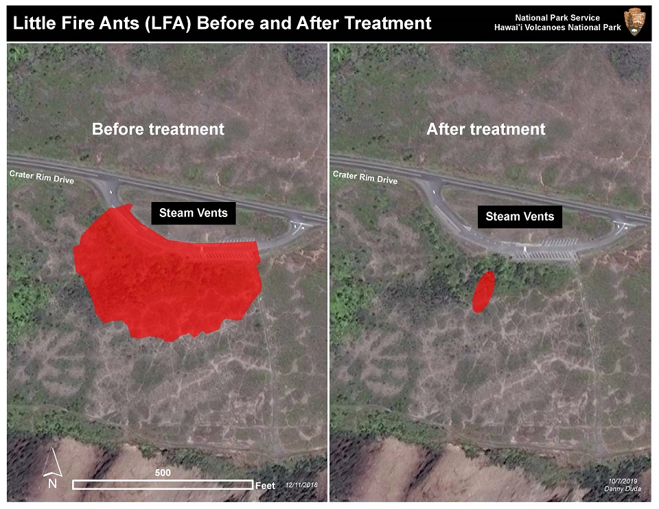 LFA before and after map A map showing progress in eradicating little fire ants from Steam Vents