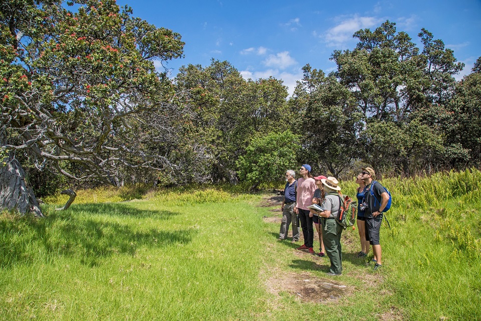 Ranger leads hike in Kahuku Ranger leads hike in Kahuku