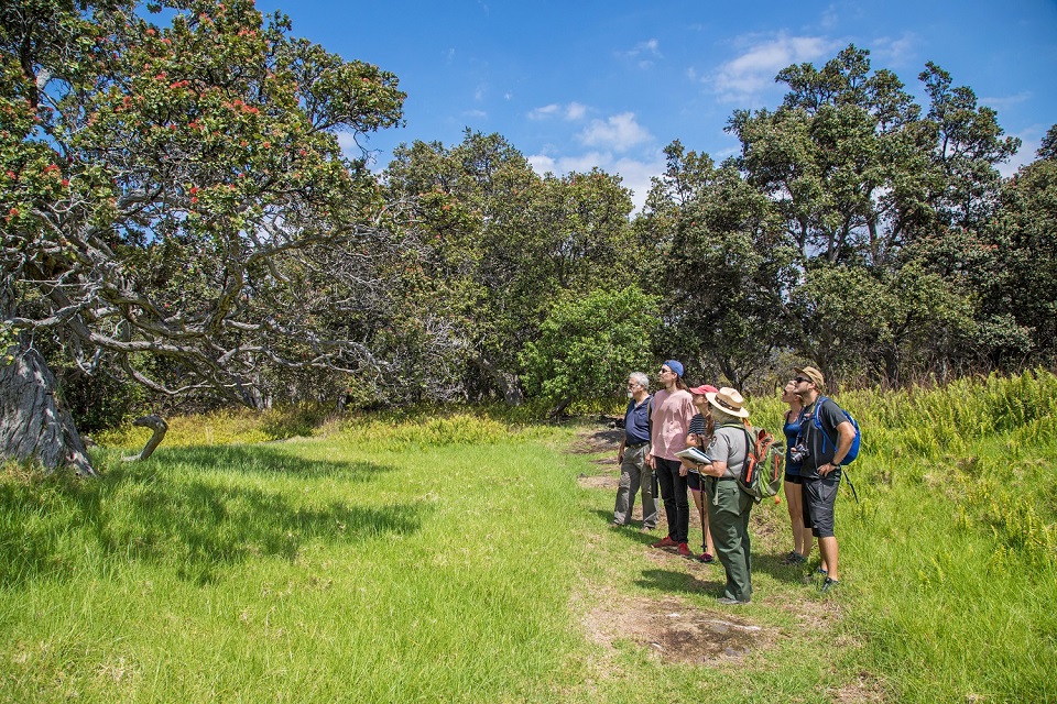 Ranger leads hike in Kahuku