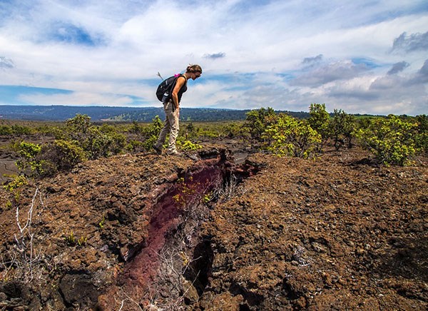 A visitor explores the Realms and Divisions of Kahuku