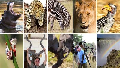 Africa montage