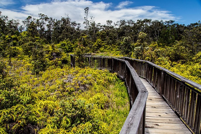 Sulphur Banks boardwalk