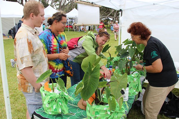 Edna Baldado and kalo demonstration