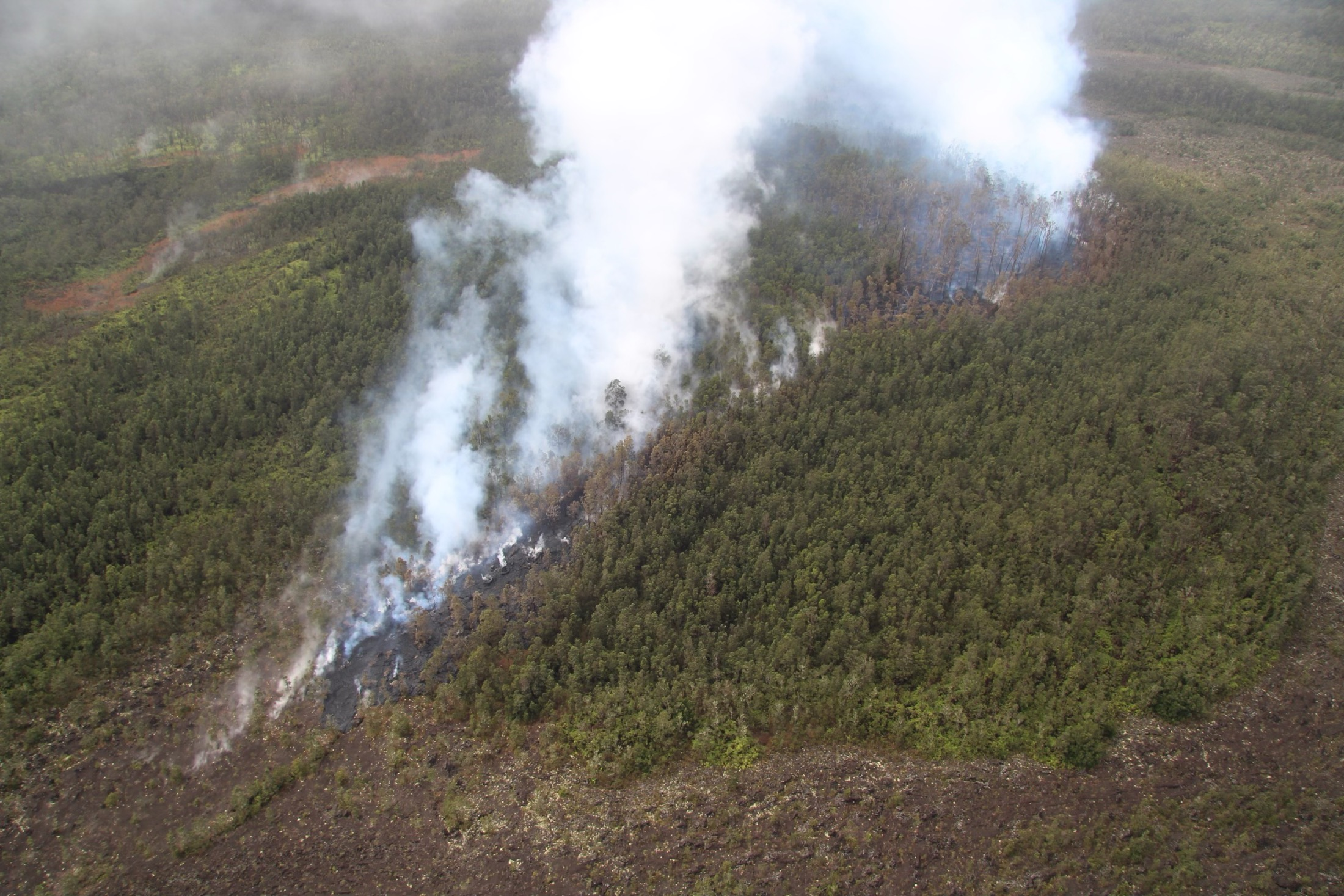 Smoke and steam continue to rise after short eruption Arial view of forested area with plumes of smoke and steam rising from a burned area with new black lava rock.