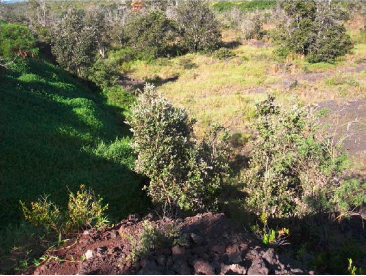 The former quarry firing range site in Hawaii Volcanoes NP Small depression in landscape surrounded by grass