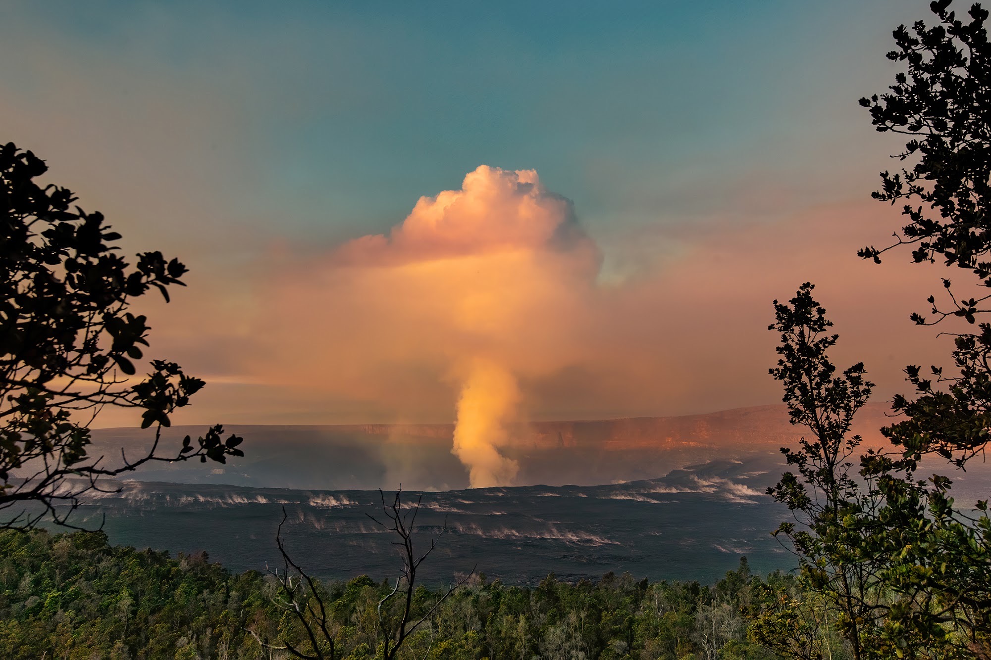 Sunrise over an erupting volcanic crater with a large white plume rising and trees in the foreground
